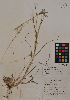  ( - MIRL11-Bisc-09-01)  @11 [ ] Unspecified (default): All Rights Reserved  Unspecified Unspecified