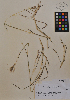  ( - MIRL11-Bisc-10-01)  @11 [ ] Unspecified (default): All Rights Reserved  Unspecified Unspecified