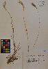  ( - MIRL11-Bisc-12-01)  @11 [ ] Unspecified (default): All Rights Reserved  Unspecified Unspecified