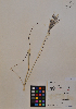  ( - MIRL11-Bisc-15-01)  @11 [ ] Unspecified (default): All Rights Reserved  Unspecified Unspecified