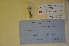  ( - MIRL11-Crvul-03-01)  @11 [ ] Unspecified (default): All Rights Reserved  Unspecified Unspecified