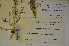  ( - MIRL11-Crvul-04-01)  @11 [ ] Unspecified (default): All Rights Reserved  Unspecified Unspecified