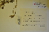  ( - MIRL11-Crvul-05-01)  @11 [ ] Unspecified (default): All Rights Reserved  Unspecified Unspecified