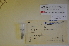  ( - MIRL11-Crvul-06-01)  @11 [ ] Unspecified (default): All Rights Reserved  Unspecified Unspecified