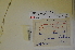  ( - MIRL11-Crvul-07-01)  @11 [ ] Unspecified (default): All Rights Reserved  Unspecified Unspecified