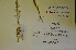  ( - MIRL11-Crvul-08-01)  @11 [ ] Unspecified (default): All Rights Reserved  Unspecified Unspecified