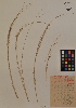  ( - MIRL11-Ntri-03-01)  @11 [ ] Unspecified (default): All Rights Reserved  Unspecified Unspecified
