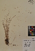  ( - MIRL11-Ntri-04-01)  @11 [ ] Unspecified (default): All Rights Reserved  Unspecified Unspecified