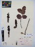  ( - MIRL13-Bhoo-07)  @11 [ ] Copyright (2018) Unspecified Canadian Food Inspection Agency