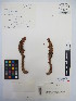  ( - MIRL13-Came-06)  @11 [ ] Copyright (2018) Unspecified Canadian Food Inspection Agency