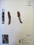  ( - MIRL13-Came-10)  @11 [ ] Copyright (2018) Unspecified Canadian Food Inspection Agency