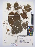  ( - MIRL13-Ddod-02)  @11 [ ] Copyright (2018) Unspecified Canadian Food Inspection Agency