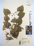  ( - MIRL13-Dvil-07)  @11 [ ] Copyright (2018) Unspecified Canadian Food Inspection Agency