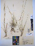  ( - MIRL14-Nnee-02)  @11 [ ] Unspecified (default): All Rights Reserved  Unspecified Unspecified