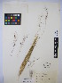  ( - MIRL14-Ntri-01)  @11 [ ] Copyright (2018) Unspecified Canadian Food Inspection Agency