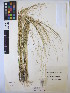  ( - MIRL14-Ntri-02)  @11 [ ] Copyright (2018) Unspecified Canadian Food Inspection Agency