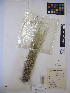  ( - MIRL14-Ntri-04)  @11 [ ] Copyright (2018) Unspecified Canadian Food Inspection Agency