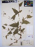  ( - MIRL14-Pari-06)  @11 [ ] Unspecified (default): All Rights Reserved  Unspecified Unspecified