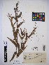  ( - MIRL14-Pmei-06)  @11 [ ] Copyright (2018) Unspecified Canadian Food Inspection Agency