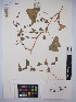  ( - MIRL14-Pperf-09)  @11 [ ] Unspecified (default): All Rights Reserved  Unspecified Unspecified