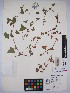  ( - MIRL14-Pperf-10)  @11 [ ] Unspecified (default): All Rights Reserved  Unspecified Unspecified