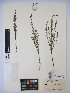  ( - MIRL14-Sasi-03)  @11 [ ] Unspecified (default): All Rights Reserved  Unspecified Unspecified