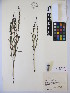  ( - MIRL14-Sasi-09)  @11 [ ] Unspecified (default): All Rights Reserved  Unspecified Unspecified