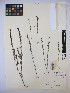  ( - MIRL14-Sasi-10)  @11 [ ] Unspecified (default): All Rights Reserved  Unspecified Unspecified