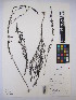 ( - MIRL14-Sasp-01)  @11 [ ] Unspecified (default): All Rights Reserved  Unspecified Unspecified