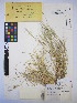  ( - MIRL15-Atri-06)  @11 [ ] Copyright (2018) Unspecified Canadian Food Inspection Agency