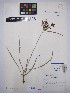  ( - MIRL15-Crot-04)  @11 [ ] Copyright (2018) Unspecified Canadian Food Inspection Agency