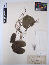  ( - MIRL15-Dbul-04)  @11 [ ] Unspecified (default): All Rights Reserved  Unspecified Unspecified