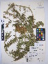  ( - MIRL15-Glep-04)  @11 [ ] Copyright (2018) Unspecified Canadian Food Inspection Agency