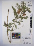  ( - MIRL15-Glep-06)  @11 [ ] Copyright (2018) Unspecified Canadian Food Inspection Agency