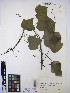  ( - MIRL15-Mcan-10)  @11 [ ] Copyright (2018) Unspecified Canadian Food Inspection Agency