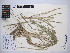  ( - MIRL15-Pnot-03)  @11 [ ] Copyright (2018) Unspecified Canadian Food Inspection Agency