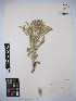  ( - MIRL15-Sela-06)  @11 [ ] Copyright (2018) Unspecified Canadian Food Inspection Agency