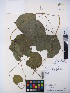  ( - MIRL16-Dsan-05)  @11 [ ] Copyright (2018) Unspecified Canadian Food Inspection Agency