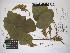  ( - MIRL16-Pmon-04)  @11 [ ] Copyright (2018) Unspecified Canadian Food Inspection Agency