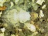  ( - IQCAD-0066)  @12 [ ] Unspecified (default): All Rights Reserved  Unspecified Unspecified