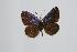  ( - ARLY-118e-002)  @12 [ ] Unspecified (default): All Rights Reserved  Unspecified Unspecified