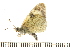  ( - VNLEP00250)  @12 [ ] Unspecified (default): All Rights Reserved  Unspecified Unspecified
