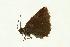  ( - VNLEP00001)  @12 [ ] Unspecified (default): All Rights Reserved  Unspecified Unspecified
