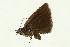  ( - VNLEP00003)  @12 [ ] Unspecified (default): All Rights Reserved  Unspecified Unspecified
