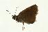  ( - VNLEP00008)  @12 [ ] Unspecified (default): All Rights Reserved  Unspecified Unspecified