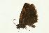  ( - VNLEP00013)  @12 [ ] Unspecified (default): All Rights Reserved  Unspecified Unspecified