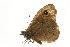  ( - VNLEP00048)  @12 [ ] Unspecified (default): All Rights Reserved  Unspecified Unspecified