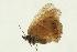  ( - VNLEP00052)  @12 [ ] Unspecified (default): All Rights Reserved  Unspecified Unspecified