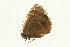  ( - VNLEP00059)  @13 [ ] Unspecified (default): All Rights Reserved  Unspecified Unspecified