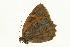  ( - VNLEP00060)  @13 [ ] Unspecified (default): All Rights Reserved  Unspecified Unspecified